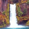 Umpqua National Forest Diamond Painting