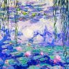 Water Lilies Art Diamond Painting