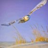 White Owl Flying Diamond Painting