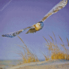 White Owl Flying Diamond Painting