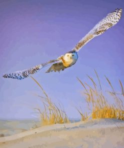 White Owl Flying Diamond Painting